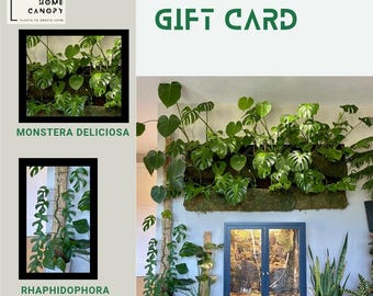 Home Canopy Digital Gift Card -25 Dollars
