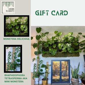 Tarjeta de regalo digital Home Canopy - 50 dólares