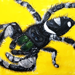 Pip: jumping spider art print