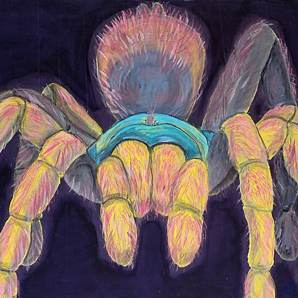 Lily: tarantula painting