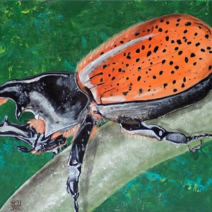 Terry: Hercules beetle art print