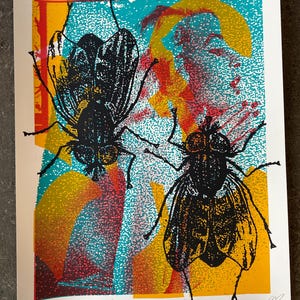 May include: A print titled "Feast of Sorrow" featuring two large, detailed black flies against a colorful background. The background includes splashes of yellow, orange, red, and teal. The print is on white paper.