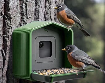 Comedero inteligente para pájaros con soporte para cámara: grabar la vida silvestre es muy fácil (cámara no incluida).