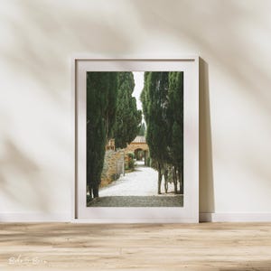 Tuscany Photography Print | Tuscan Vineyard Art | Rustic Italian Landscape | Tuscany Wall Decor | Vineyard Photography | Travel Photography