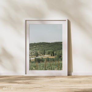 Tuscany Photography Print | Vineyard Art | Italian Countryside Landscape | Tuscany Wall Decor | Vineyard Photography | Travel Photography