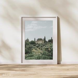 Tuscany Photography Print | Vineyard Art | Italian Countryside Landscape | Tuscany Wall Decor | Vineyard Photography | Travel Photography