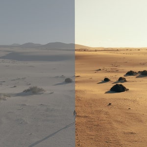 May include: A split image showing a desert landscape. The left side of the image is a muted gray, while the right side is a warm, golden brown. The right side of the image shows a person walking across the sand dunes.
