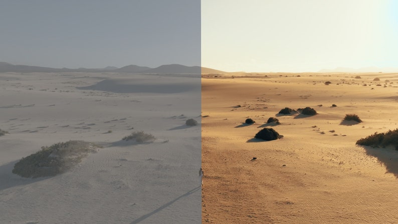 May include: A split image showing a desert landscape. The left side of the image is a muted gray, while the right side is a warm, golden brown. The right side of the image shows a person walking across the sand dunes.