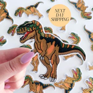 Dinosaur Iron On Patch T-Rex Dino Applique for Jackets  Backpacks