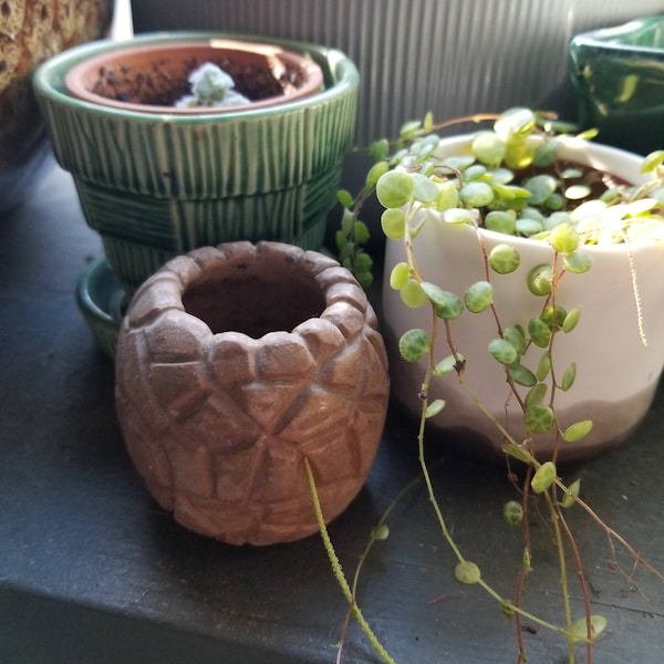 Vintage pebbled effect pot in brown, art pot, succulent planter, textured