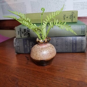 May include: A small, brown and black speckled ceramic vase with a fern plant inside. The vase is sitting on top of a stack of three books. The top book is green and has the title "The Enchignted Hill" by Kyne. The middle book is green and has the title "The Adventures of Tom Sawyer". The bottom book is gray and has the title "The Best Loved Poems".