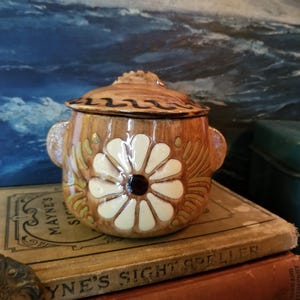 May include: A small, brown ceramic jar with a lid. The jar has a white daisy design with a black center. The jar is sitting on top of two books.