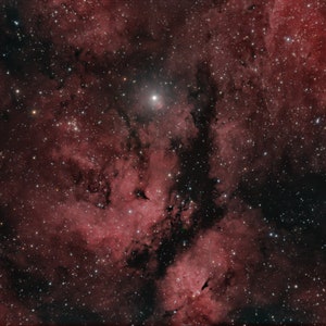 La nebulosa de la mariposa de la región de la RASD