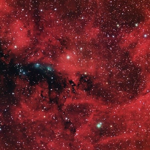 Photograph of NGC 6914 Emission Nebula in Constellation Cygnus