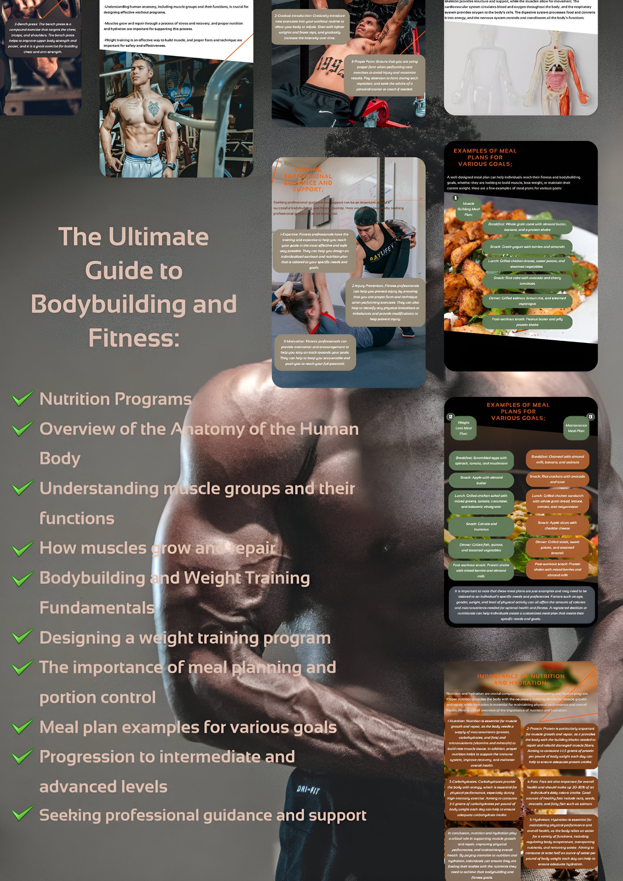 Building a Better You: the Ultimate Guide to Bodybuilding and Fitness E ...