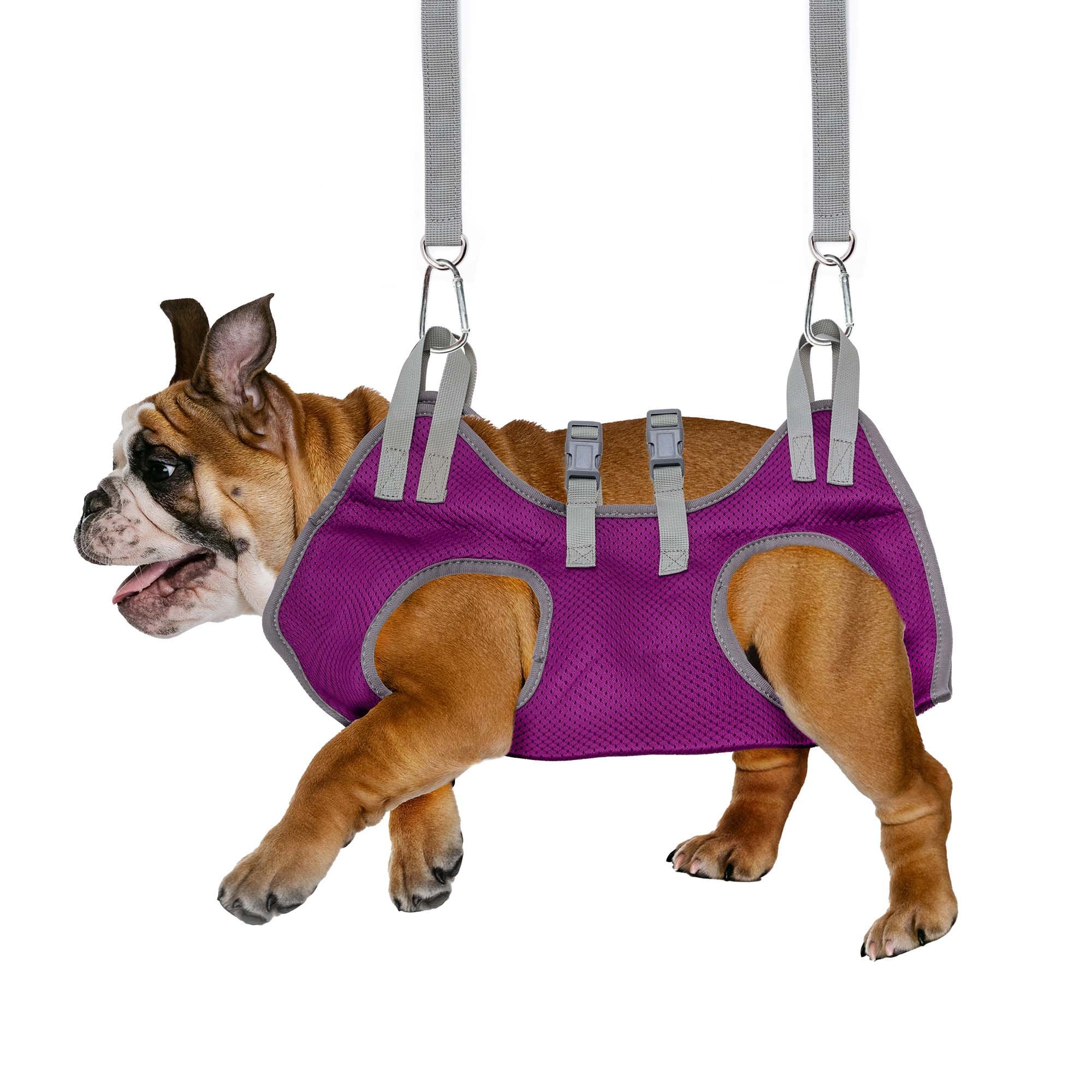 Dog nail trimming hanging harness top