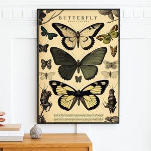 Vintage Butterfly Poster - Digital Download