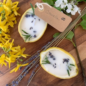 Natürliche Citronella Zitronenkerzen
