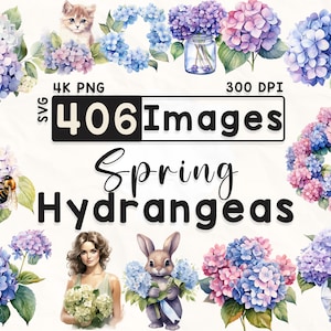 406 Hortensien Clipart Bundle, Aquarell Blumen Clipart, Hortensien Clipart, Scrapbook, Frühlingsblumen, Papierhandwerk, 4K PNG, Digitale Dateien
