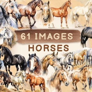 61 Majestic Horse Clipart Bundle, Horse clipart, Commercial use, Digital Download, Watercolor Clipart, Card Making, Clip Art, 4K PNG and SVG