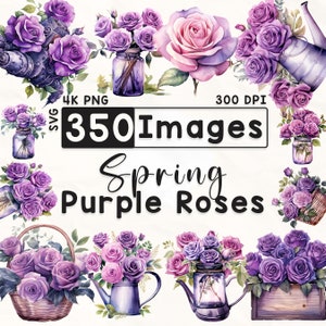 350 lila Rosen Clipart Bundle, Aquarell Blumen Clipart, Rose Clipart, Scrapbook, Frühlingsblumen, Papierhandwerk, 4K PNG, Digitale Dateien