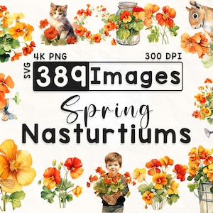 Paquete de imágenes prediseñadas de 389 capuchinas, imágenes prediseñadas florales de acuarela, imágenes prediseñadas de capuchina, álbum de recortes, flores de primavera, artesanías de papel, PNG 4K, archivos digitales