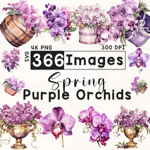 366 lila Orchideen Clipart Bundle, Aquarell Blumen Clipart, Orchidee Clipart, Scrapbook, Frühlingsblumen, Papierhandwerk, 4K PNG, Digitale Dateien