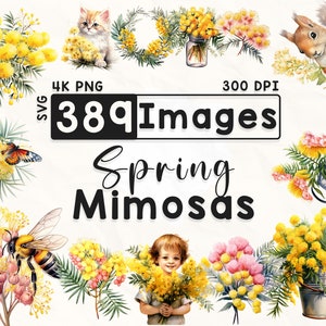Pacchetto di 389 mimose clipart, clipart floreale ad acquerello, clipart mimosa, album di ritagli, fiori primaverili, lavoretti con la carta, PNG 4K, file digitali