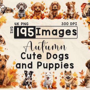 195 herfst schattige honden en puppy's clipart, aquarel clipart, herfstseizoen, plakboek, papierkunst, png en SVG, herfst hondje, digitaal beeld
