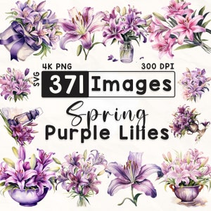 371 Pacote de clipart de lírios roxos, clipart floral aquarela, clipart de lírio, álbum de recortes, flores da primavera, artesanato em papel, 4K PNG, arquivos digitais