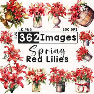 362 rote Lilien Clipart Bundle, Aquarell Blumen Clipart, Lilie Clipart, Scrapbook, Frühlingsblumen, Papierhandwerk, 4K PNG, Digitale Dateien
