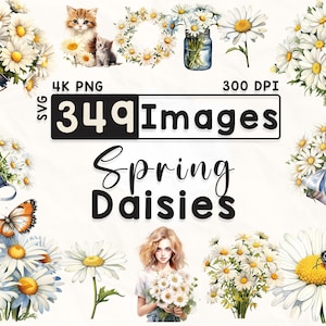 349 Daisies Clipart Bundle, Clipart floreale ad acquerello, Clipart margherita, Album di ritagli, Fiori primaverili, Artigianato di carta, PNG 4K, File digitali