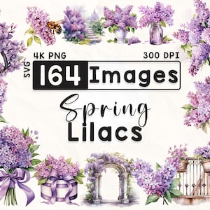Paquete de 164 imágenes prediseñadas de lilas, imágenes prediseñadas florales de acuarela, imágenes prediseñadas de lilas, álbumes de recortes, flores de primavera, manualidades de papel, PNG 4K, archivos digitales