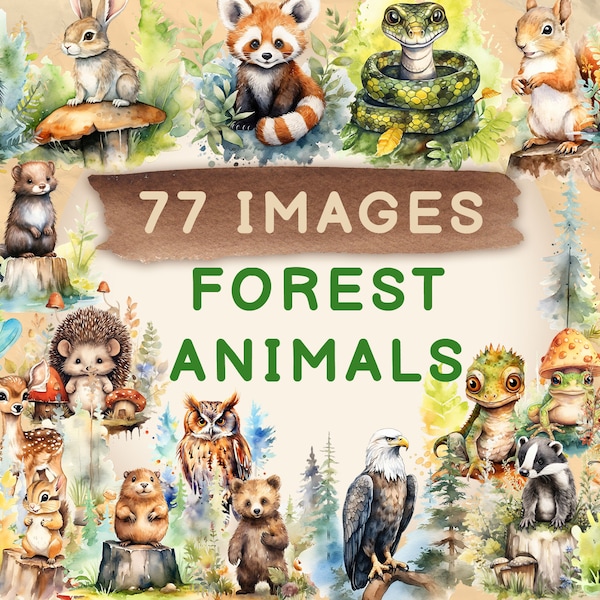 77 Imágenes prediseñadas de animales del bosque lindo, imágenes prediseñadas de animales lindos, uso comercial, descarga digital, imágenes prediseñadas de acuarela, imágenes prediseñadas, 4K PNG y SVG