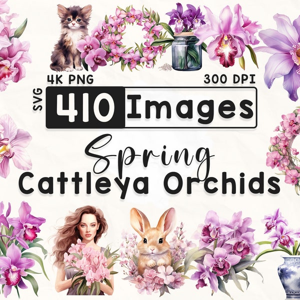 410 Cattleya Orchids Clipart Bundle, Watercolor Floral Clipart, Cattleya Orchid Clipart, Scrapbook, Spring Flowers, Paper Crafts, 4K PNG