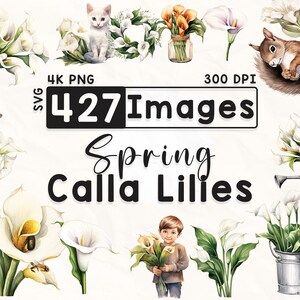 427 pacote de clipart de lírios de calla, clipart floral aquarela, clipart de lírio de calla, álbum de recortes, flores da primavera, artesanato em papel, 4K PNG, arquivo digital
