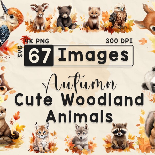 Woodland Autumn - Etsy