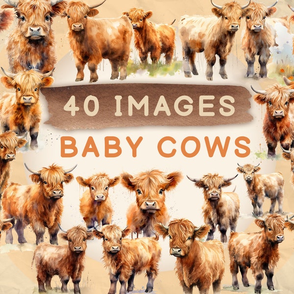 40 Baby Highland Cow Clipart Bundle, Cute baby cow clipart, Commercial use, Digital Download, Watercolor Clipart, Clip Art, 4K PNG and SVG