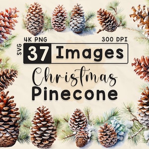 Clipart Noël pomme de pin, clipart aquarelle, fêtes de fin d'année, scrapbooking, travaux manuels en papier, PNG 4K, journal indésirable, lot de pin de Noël