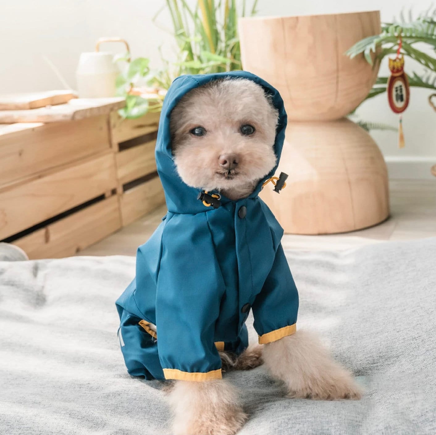 Pet Puppy Dog Imperméable Chien Couverture de veste de pluie 4 pattes  Couverture de protection complète du corps Imperméable à l'eau Imperméable  à la pluie Imperméable à la boue pour chiens