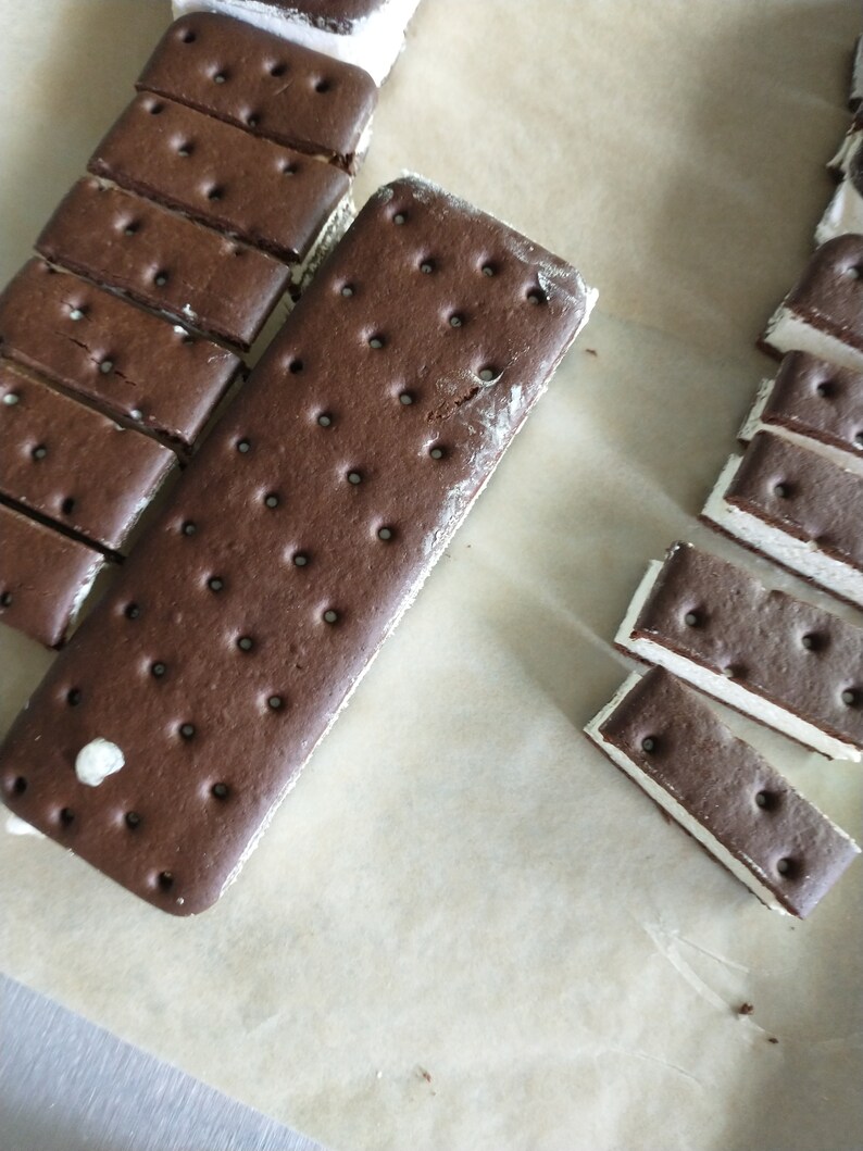 Freeze Dried Ice Cream Sandwiches Etsy