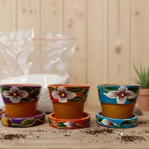 Ensemble de trois petits pots et soucoupes en terre cuite peints à la main