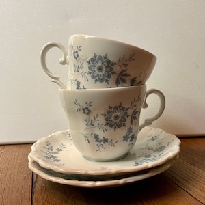 Set of Two Vintage Bavarian Blue Christina Porcelain Floral Teacups and Saucers