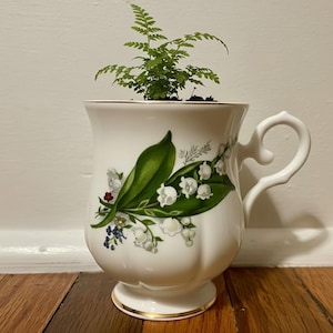 Puede incluir: Una taza de té blanca con un diseño floral, que contiene una pequeña planta de helecho. La taza presenta un borde dorado y un asa decorativa. El diseño floral incluye hojas verdes, flores blancas y pequeños detalles rojos y azules. La taza está sobre una superficie de madera.