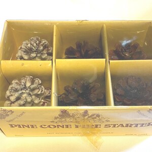 May include: A box of six pine cone fire starters. The box is brown with a yellow interior and has the words "Pine Cone Fire Starter" printed on the front. The pine cones are arranged in six compartments.