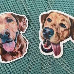 Pet Stickers - Put your pet&#39;s face on a sticker
