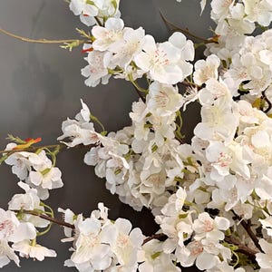 May include: A close-up of a white cherry blossom branch with delicate white flowers and green leaves. The flowers have a subtle pink center.