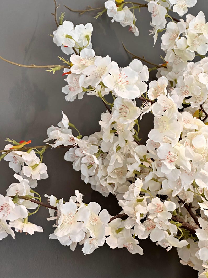 May include: A close-up of a white cherry blossom branch with delicate white flowers and green leaves. The flowers have a subtle pink center.