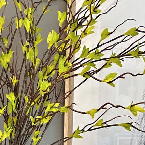 Budding Lime tree branches, artificial greenery, green foliage, DIY flower arrangement, faux plant, long twigs stems, leaves, Floral styling