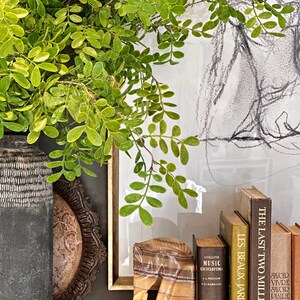 May include: A collection of books with titles including "The Last Two Million Years", "Les Beaux Jardins", and "Savoir Vivre Savoir Piaire". The books are stacked on a shelf with a decorative vase and a wooden horse bookend.